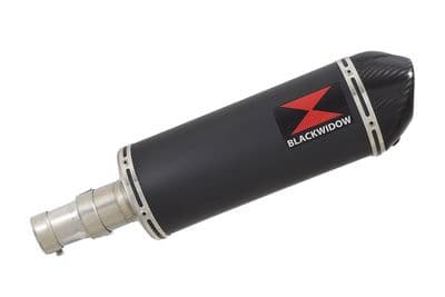 R850R ROADSTER Exhaust Silencer 300mm Oval Black Stainless  Carbon Tip