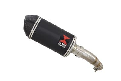 Z 250 SL Exhaust Silencer 200 mm Oval Black Stainless Carbon Tip