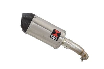 Z 250 SL Exhaust Silencer 200mm Oval Stainless Carbon Tip