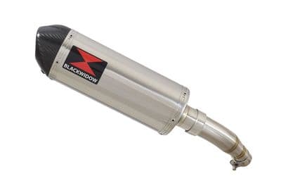 Z 250 SL Exhaust Silencer 300 mm Oval Stainless Carbon Tip