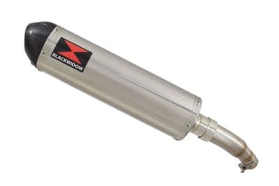 Z 250 SL Exhaust Silencer 400 mm Oval Stainless Carbon Tip