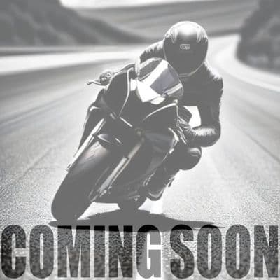 ZT 125 - C Exhaust Coming Soon