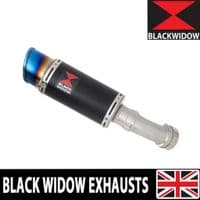 ZX4-RR ZX4-R 2023 - 2026 Exhaust Silencer 200mm Round Blue Tip Black Stainless