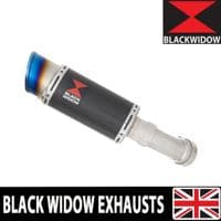 ZX4-RR ZX4-R 2023 - 2026 Exhaust Silencer 200mm Round Blue Tip Carbon