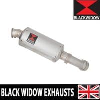 ZX4-RR ZX4-R 2023 - 2026 Exhaust Silencer 230 mm Oval Stainless