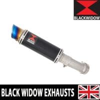 ZX4-RR ZX4-R 2023 - 2026 Exhaust Silencer 230mm GP Round Blue Tip Black Stainless
