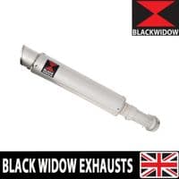ZX4-RR ZX4-R 2023 - 2026 Exhaust Silencer 350 mm GP Round Stainless