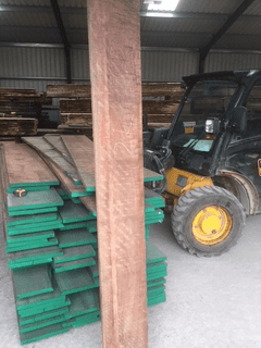 American Black Walnut