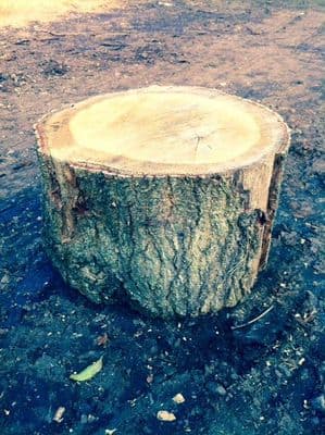 Chopping Block (MUST NOW BE PURCHASED WITH HW-1CM) OUT OF STOCK