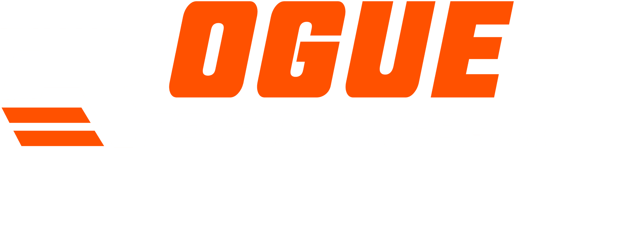 Rogue Performance