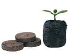 cuttings/seedlings mediums