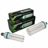 Maxibright CFL