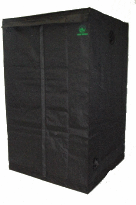 professional tent set-up