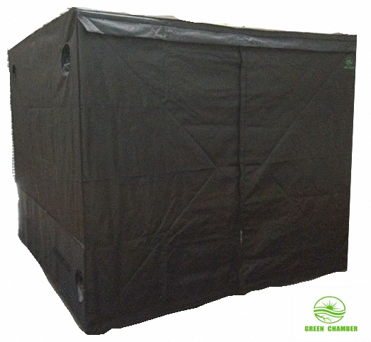 professional tent set-up
