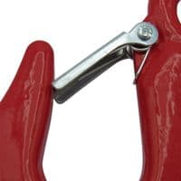 Eye Hook With Safety Catch 1.5T SWL | securefix Direct
