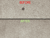 4 Litre Carpet & Upholstery Cleaner | SecureFix Direct