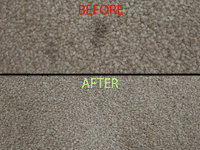 4 Litre Carpet & Upholstery Cleaner | SecureFix Direct