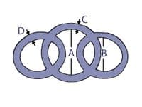 8MM x 60MM Stainless Steel Spectacles (Ring Sets) - Marine Netting Links