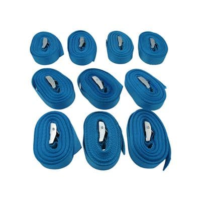 Cam Buckle Tie Down Straps 25MM 250KG 5 Metre x10 (Lashing Strap Secure Hold)