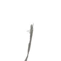 White Electric Fencing Tape 20MM 200M | SecureFix Direct