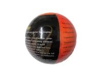 Fire Extinguisher Ball Small | SecureFix Direct