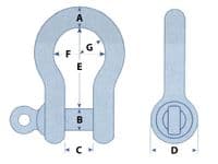 12 Ton Bow Shackle With Screw Pin | SecureFix Direct