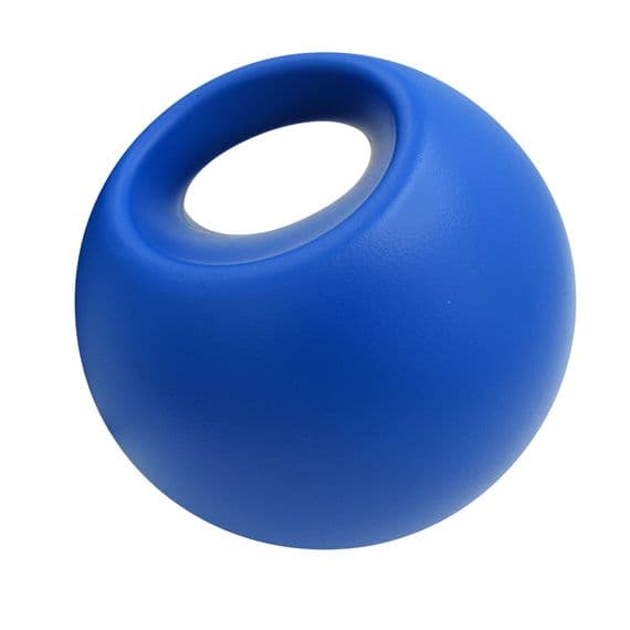 Blue or Pink Horse Ball Toy With Handle | Securefix Direct