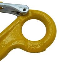 Chain Sling Hook with Eye and Latch | SecureFix Direct