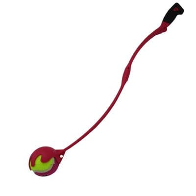 Outdoor Dog Ball Thrower Launcher (Fetch Toy Play Garden Exercise)