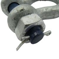 150 Ton Safety Screw Pin Bow Shackle | SecureFix Direct