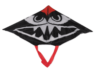 Large Tail Snake Kite & Windsock | SecureFix Direct