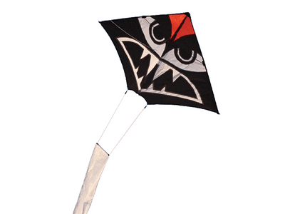 Snake Kite - Beach Fun Rookie Kids Toy Children Caravan Bird Scarer