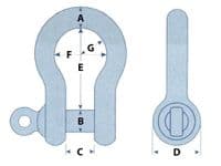 Stainless Steel Bow Shackle 8MM | SecureFix Direct