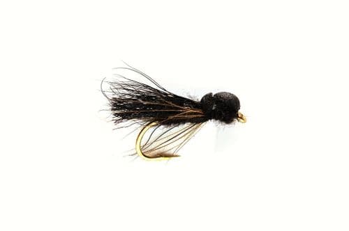 Balloon Black Sedge