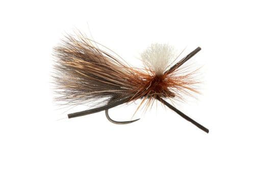 Basset's Extra Terrestrial