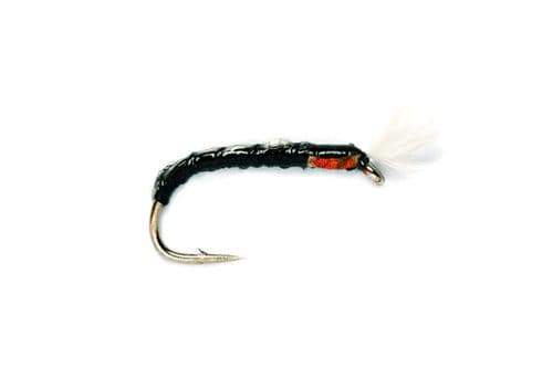 Big Fish Black Buzzer
