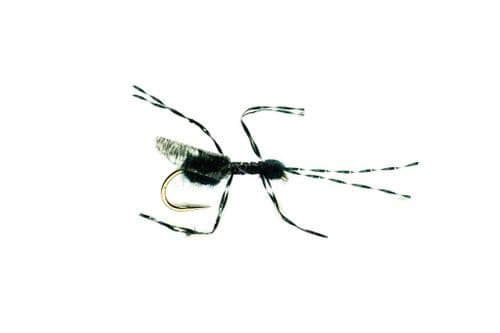 Bills Black Flying Ant