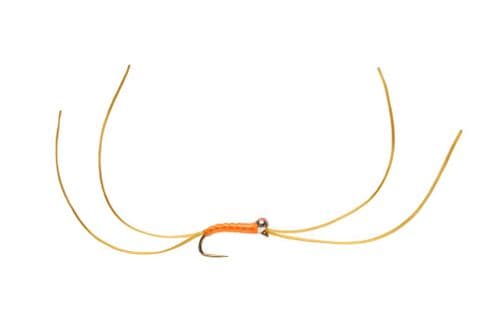 BL Bung Worm Amber Red Spot