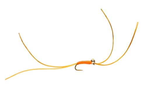 BL Bung Worm Amber Yellow Spot
