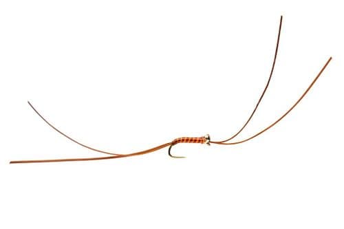 BL Bung Worm Dark Olive Red Spot