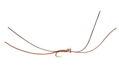 BL Bung Worm Dark Olive Yellow Spot