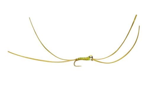 BL Bung Worm Olive Yellow Spot
