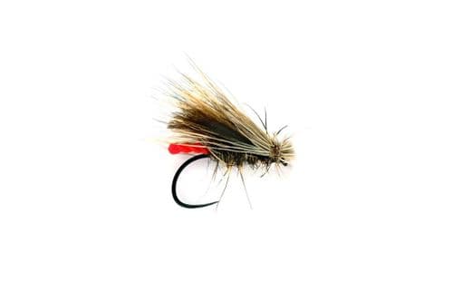 BL Championship Caddis