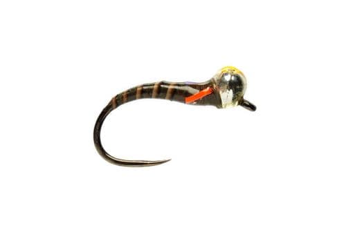 BL Classic Buzzer Crisp Yellow Spot