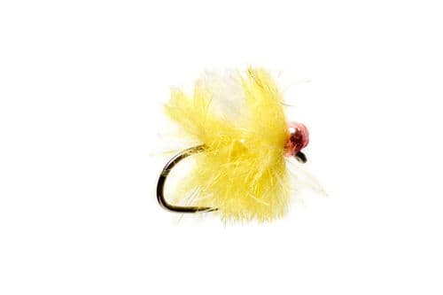 BL Fire Spot Egg Sunburst Red Spot