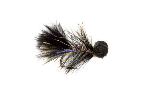 BL Jenkins' Black Humungous Booby