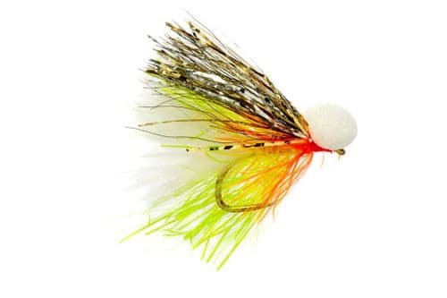 BL Jenkins' Cat Sparkler Booby