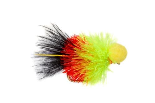 BL Jenkins' Comp Fenton Booby