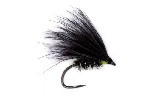 BL Jenkins' Cormorant Hot Spot