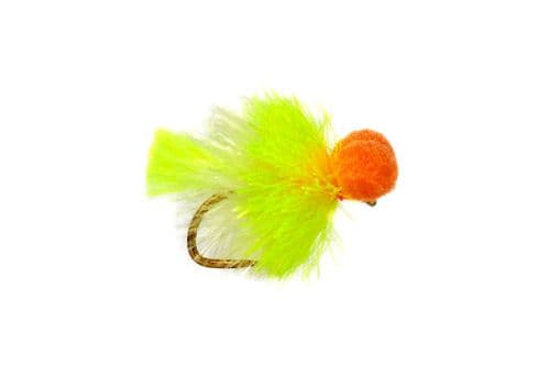 BL Jenkins' Double Sunburst Booby